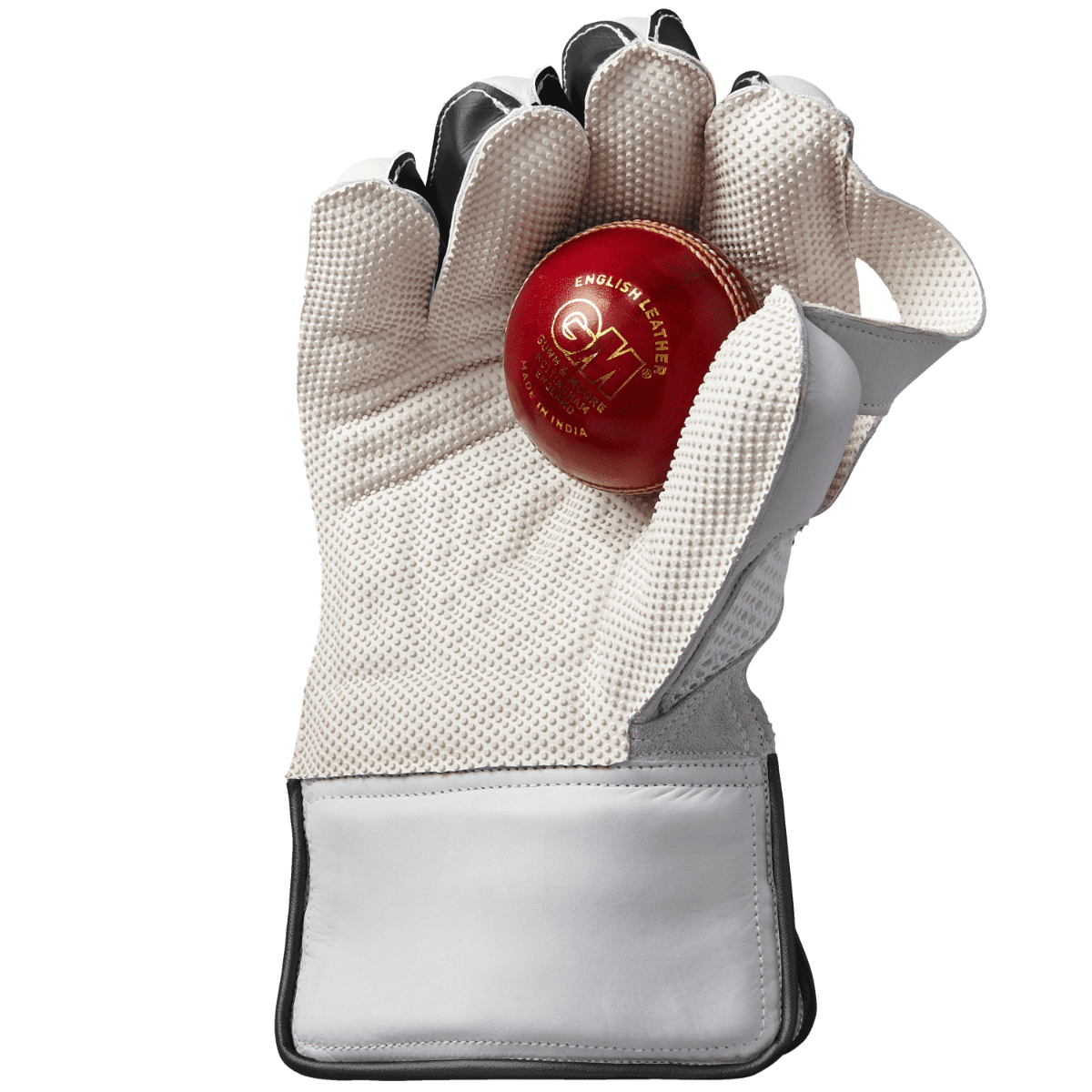 GM AION 909 Wicket Keeping GLOVES - Large Adult image