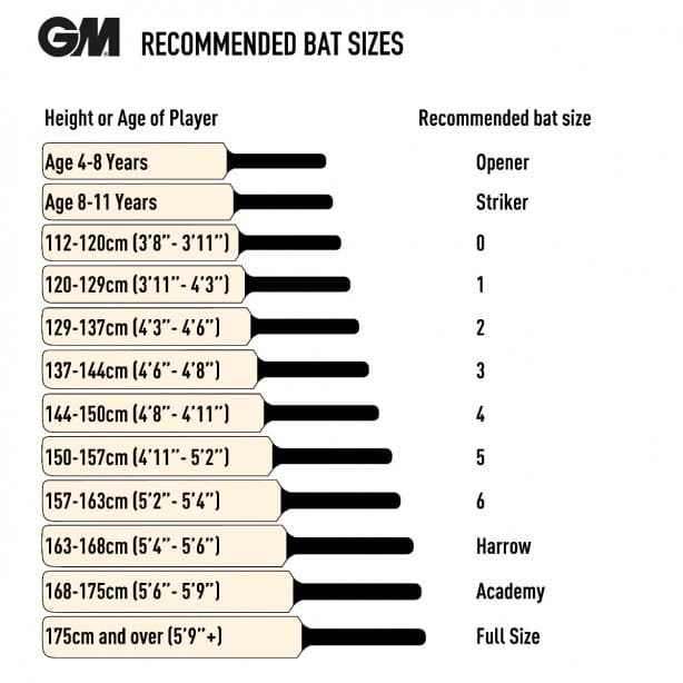 GM SH Bat Verva Signature image 3