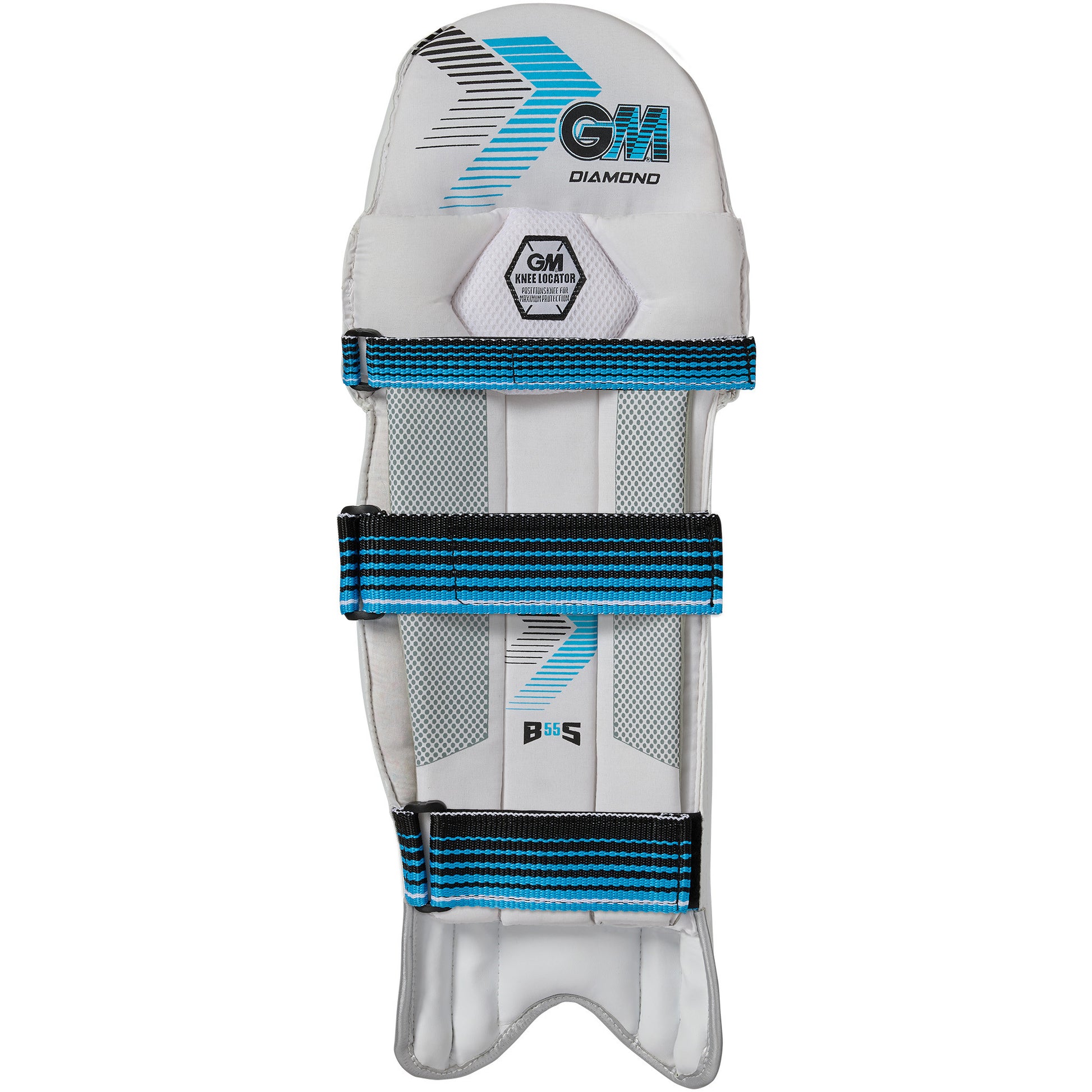 Rear view of GM Diamond batting pads