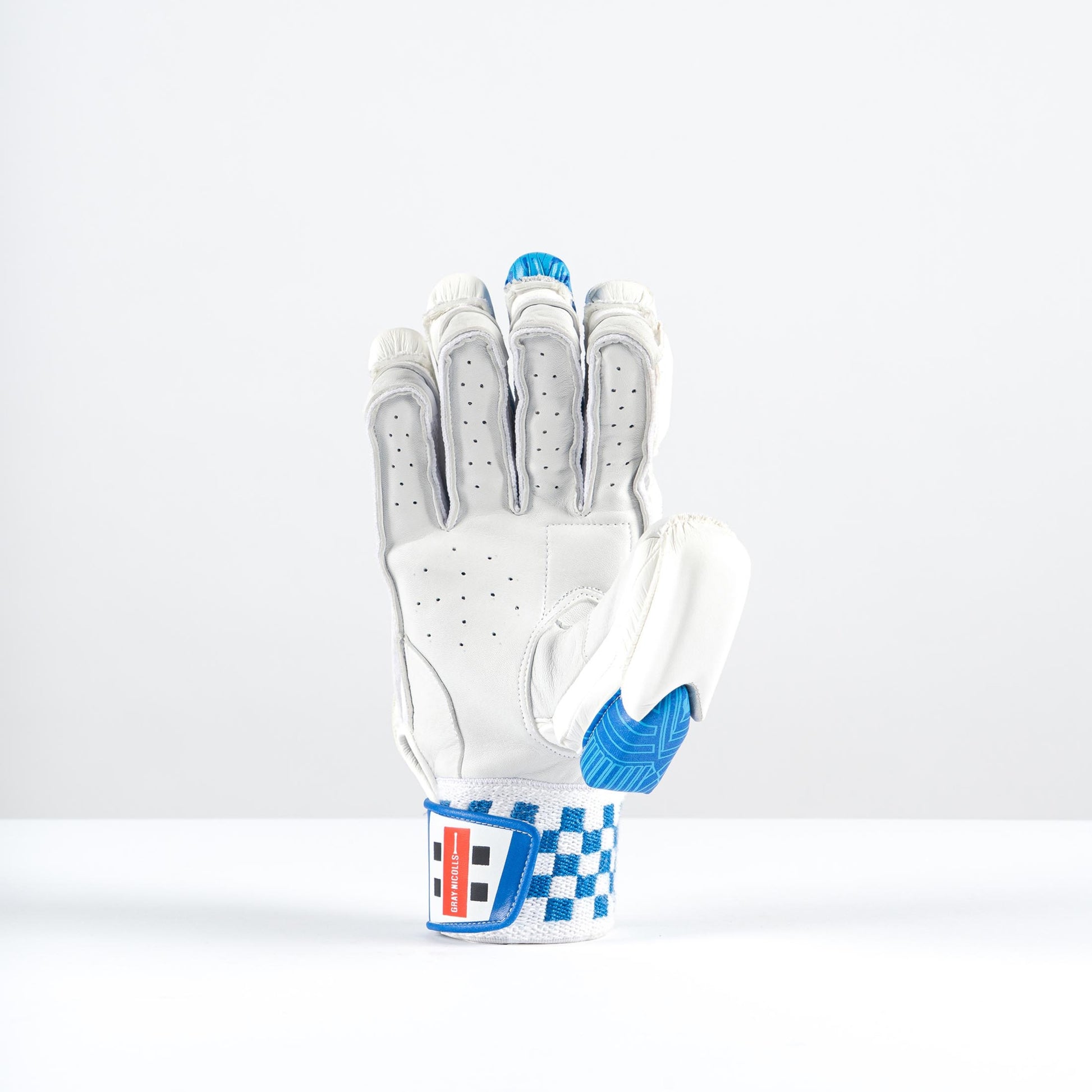 palm view of Gray Nicolls Havoc 1.0 gloves with premium leather palm and finger ventilation