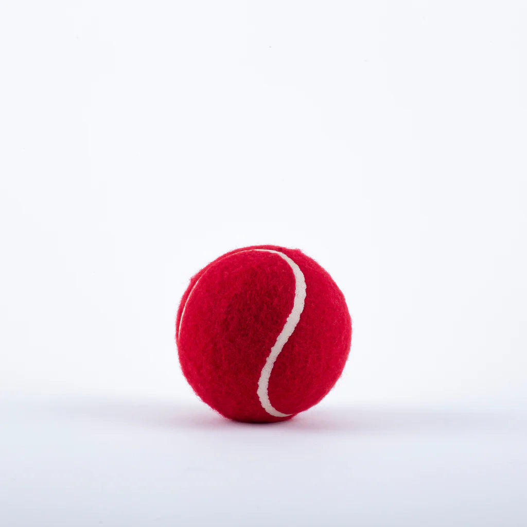 Gray Nicolls red tennis ball for cricket training