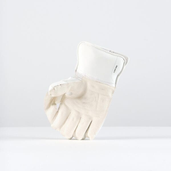 Palm Close-Up – Gray-Nicolls Classic Select Wicketkeeping Glove